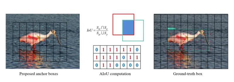 Proposed anchor boxes, IoU computation and ground-truth box on an image of a roseate spoonbill