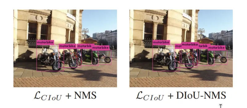 Overlapping motorbike detections comparing CIoU loss with NMS and with DIoU-NMS